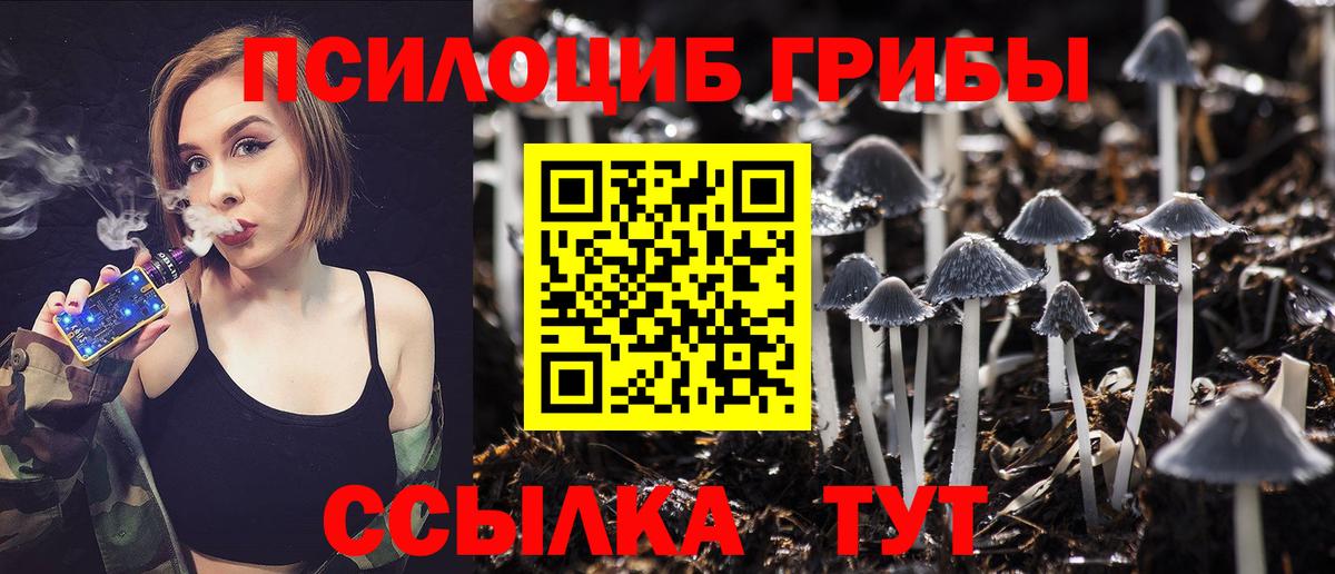 Псилоцибиновые грибы мицелий  Вход с VPN  Ухта 